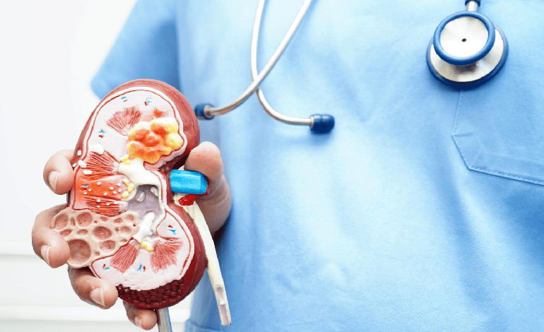 Realización de biopsia renal en Campeche: Diagnóstico Integral en Nefrología