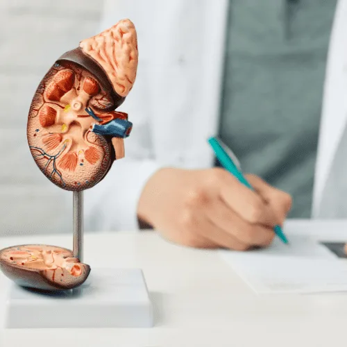 ¿Qué especialista trata la enfermedad poliquística renal?
